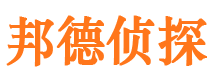 凭祥市调查公司